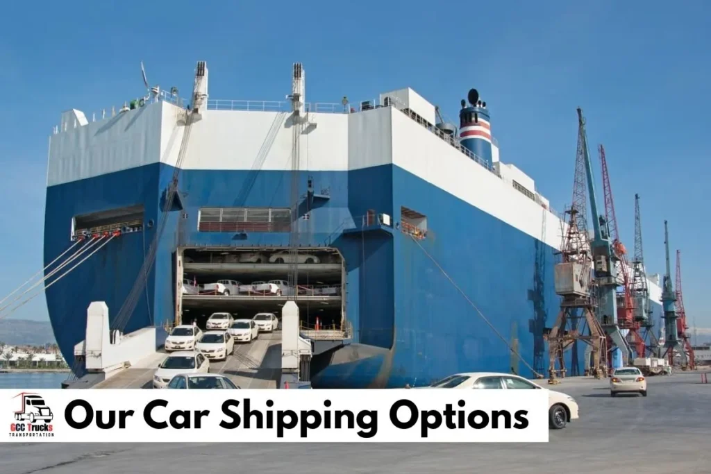 Our Car Shipping Options​